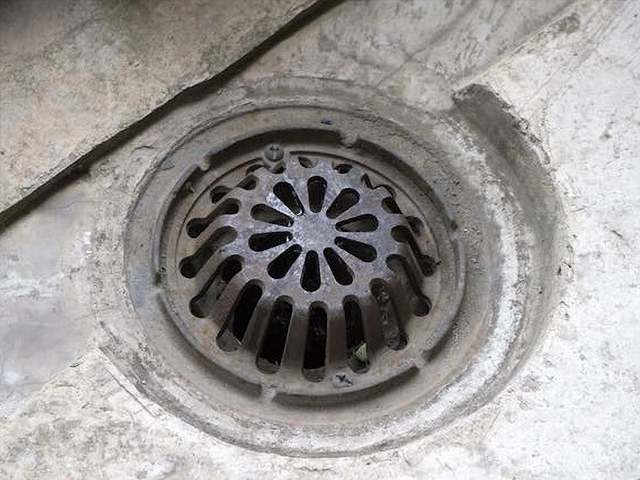 排水ドレンは雨漏りの起点になりやすい