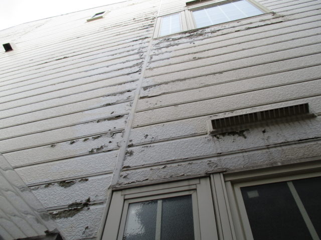 外壁塗装　凍害