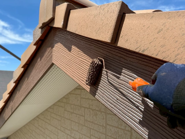 付帯部塗装工事